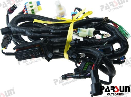 WIRING HARNESS, ECU CONTROL DELFI (PAF60-05000900)